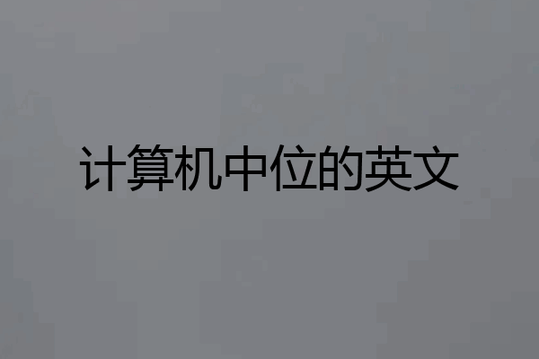 计算机中位的英文