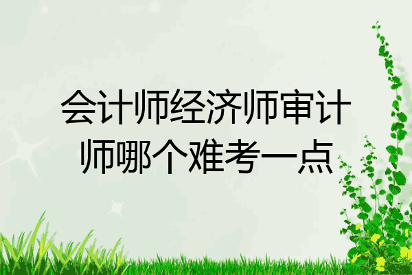 会计师经济师审计师哪个难考一点