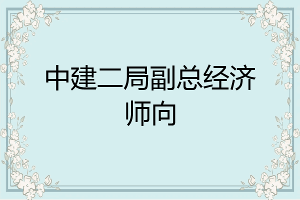 中建二局副总经济师向