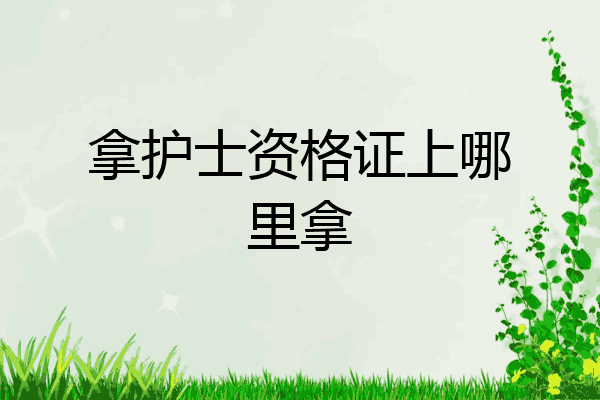 拿护士资格证上哪里拿