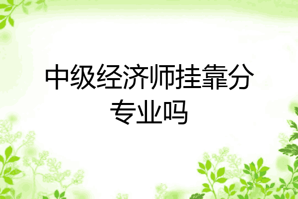 中级经济师挂靠分专业吗