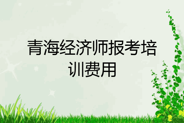 青海经济师报考培训费用