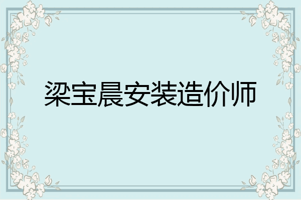 梁宝晨安装造价师