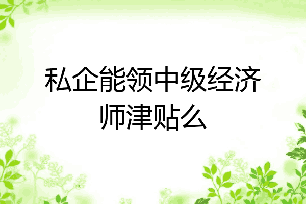 私企能领中级经济师津贴么