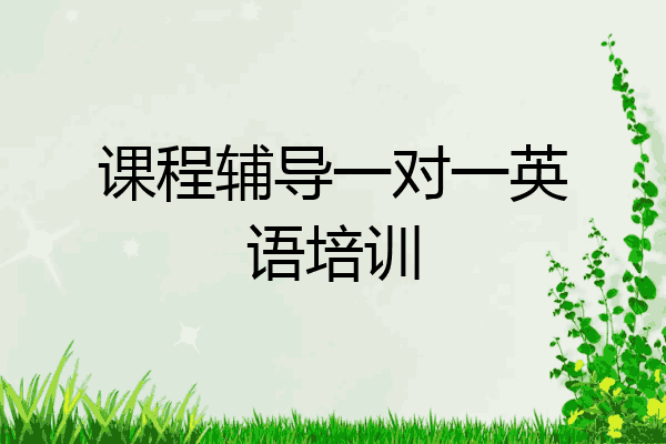 课程辅导一对一英语培训
