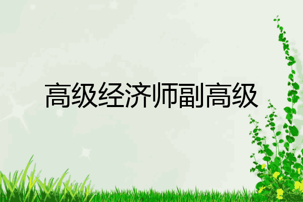 高级经济师副高级
