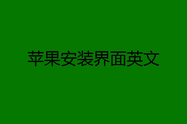 苹果安装界面英文