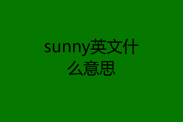 sunny英文什么意思