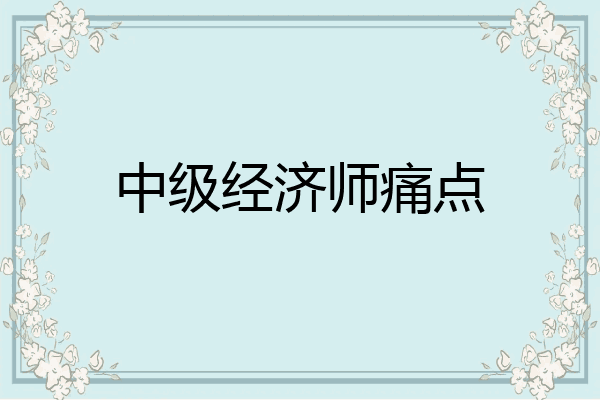 中级经济师痛点