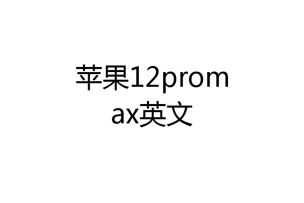 苹果12promax英文