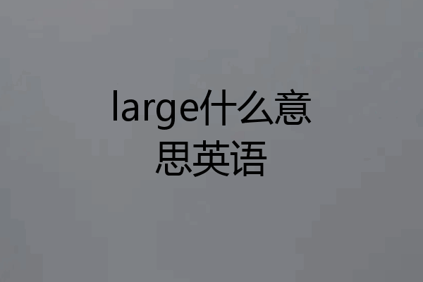large什么意思英语