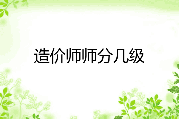 造价师师分几级