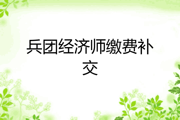 兵团经济师缴费补交