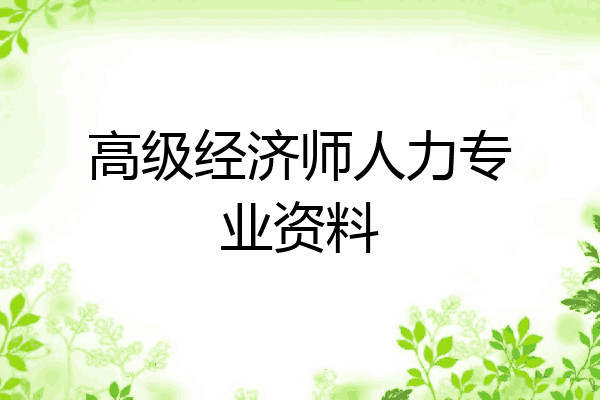 高级经济师人力专业资料