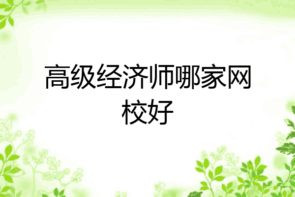 高级经济师哪家网校好