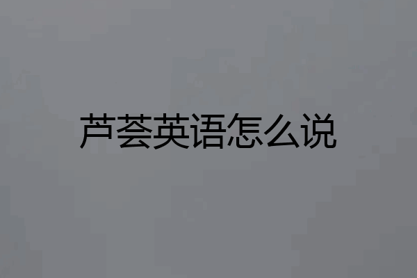 芦荟英语怎么说