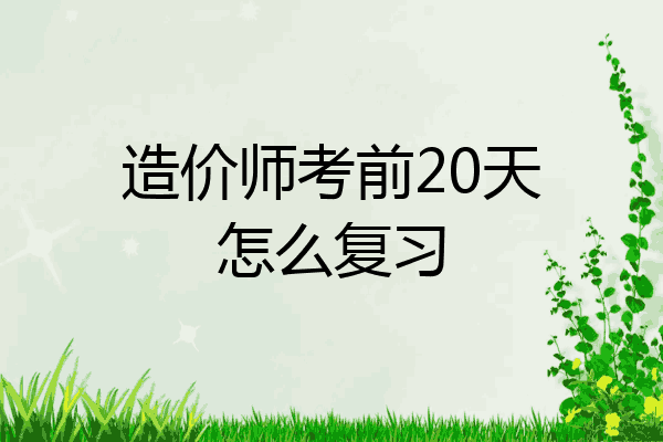 造价师考前20天怎么复习
