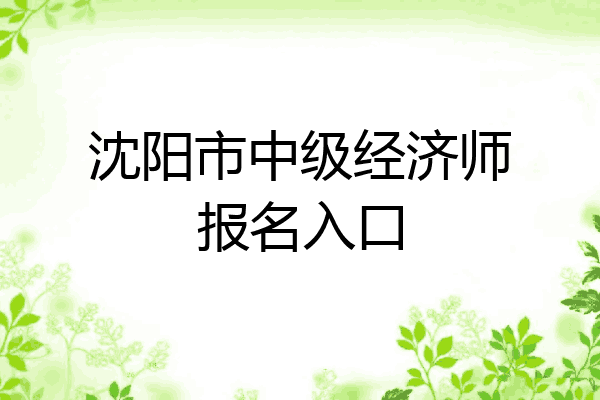 沈阳市中级经济师报名入口