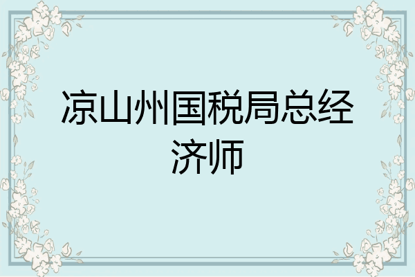 凉山州国税局总经济师