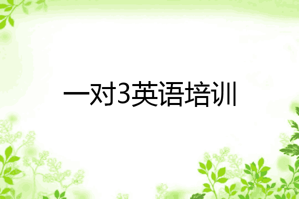 一对3英语培训