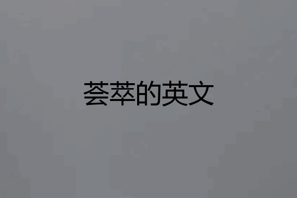 荟萃的英文