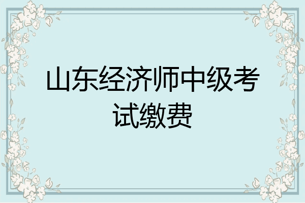山东经济师中级考试缴费