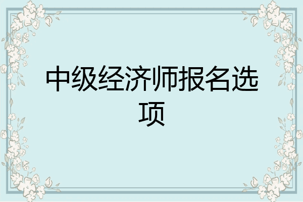 中级经济师报名选项