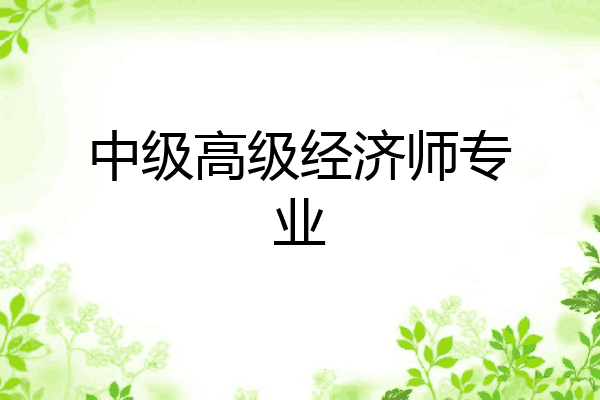 中级高级经济师专业