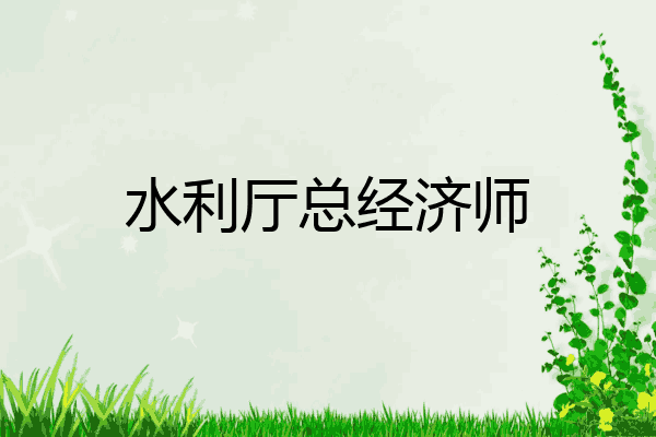 水利厅总经济师