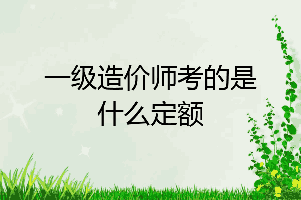 一级造价师考的是什么定额