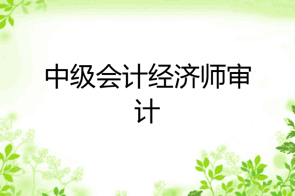 中级会计经济师审计