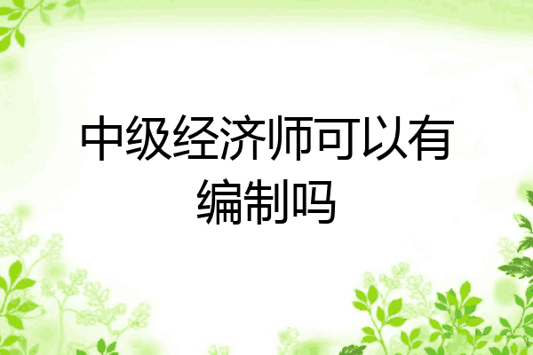 中级经济师可以有编制吗