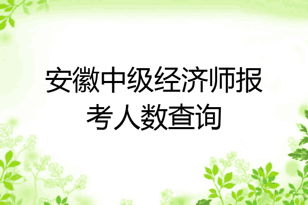 安徽中级经济师报考人数查询