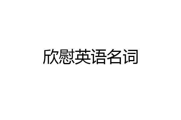 欣慰英语名词