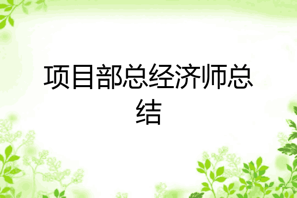 项目部总经济师总结