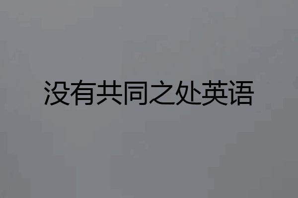 没有共同之处英语