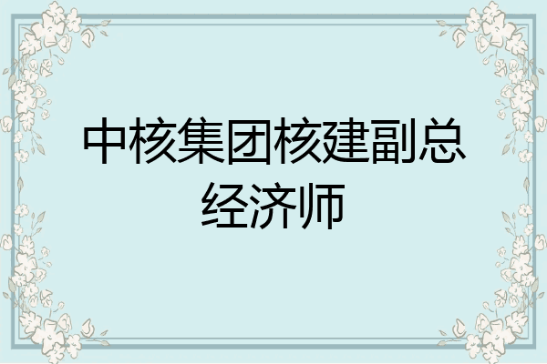 中核集团核建副总经济师