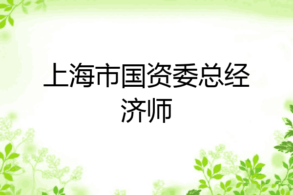 上海市国资委总经济师