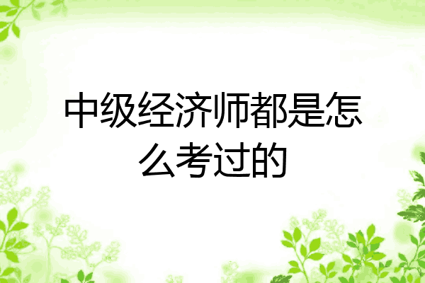 中级经济师都是怎么考过的