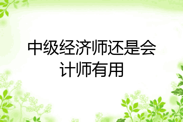 中级经济师还是会计师有用