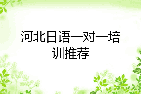 河北日语一对一培训推荐