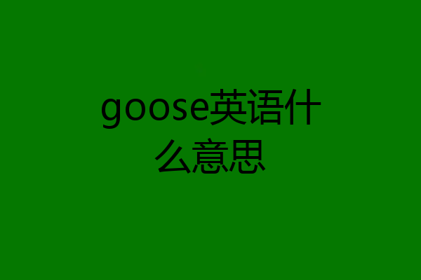 goose英语什么意思