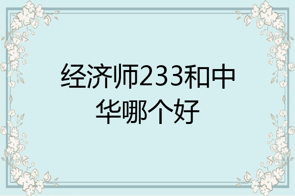 经济师233和中华哪个好