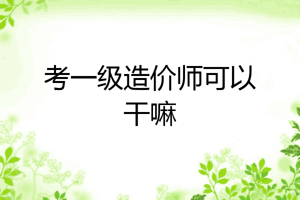 考一级造价师可以干嘛