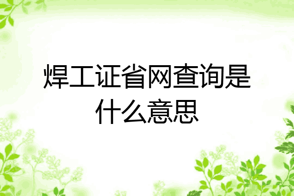 焊工证省网查询是什么意思