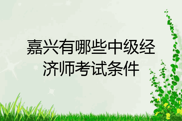 嘉兴有哪些中级经济师考试条件
