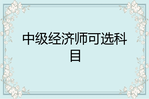 中级经济师可选科目