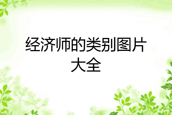 经济师的类别图片大全