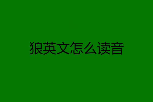 狼英文怎么读音