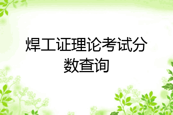 焊工证理论考试分数查询